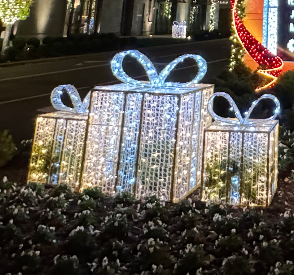 Elegant Illuminated Packages - Assorted Sizes