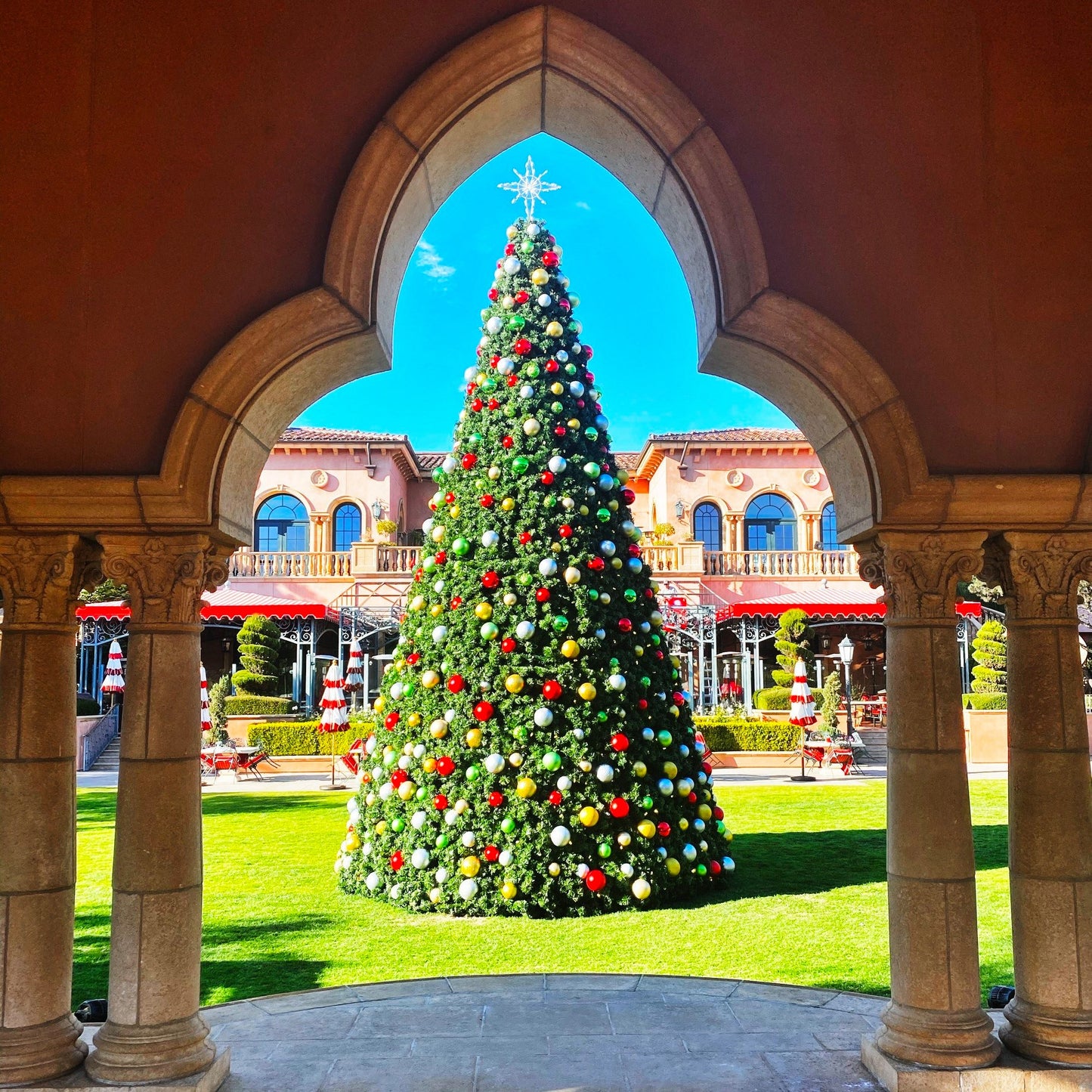 Premium Commercial Panel Tree