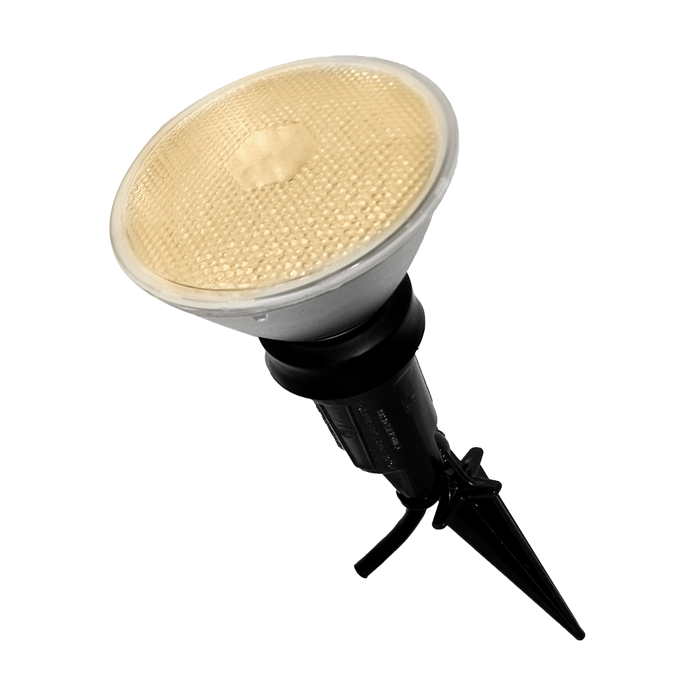 PAR38 LED Flood Light Bulbs