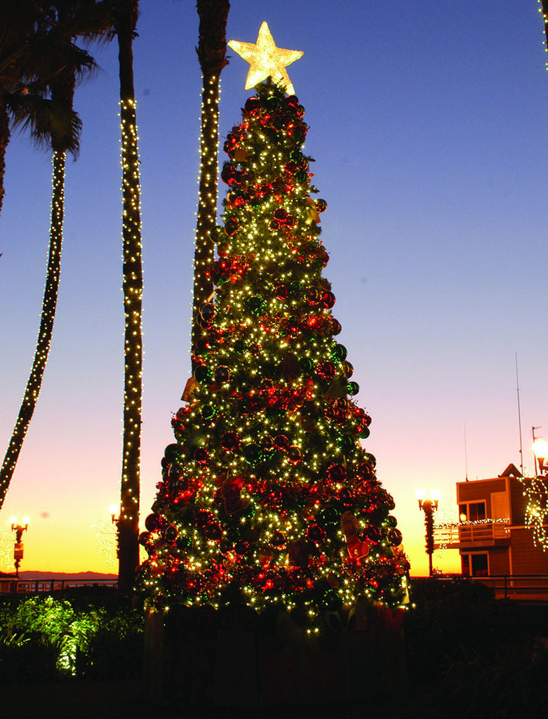 Large Lit Star Star on Giant Christmas Tree