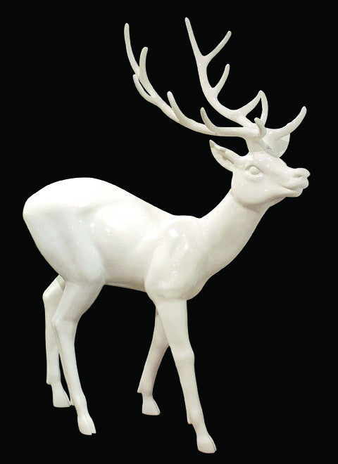 White Deer