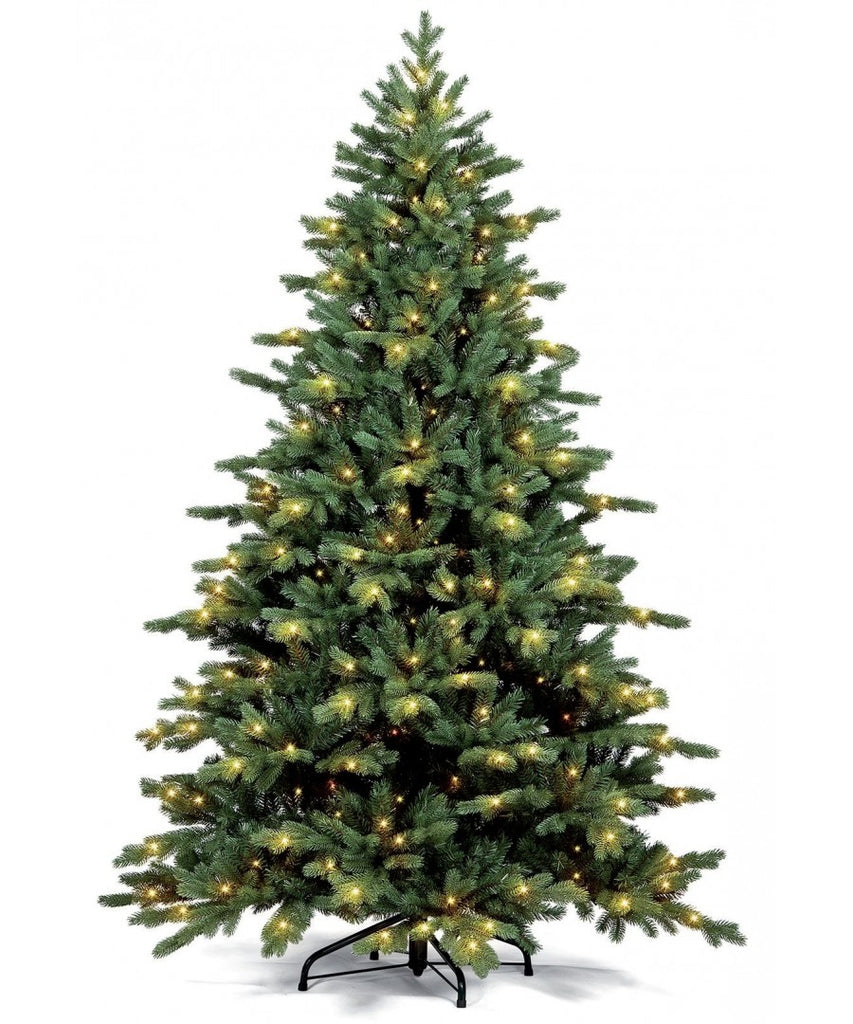 Commercial Fraser Fir Christmas Tree