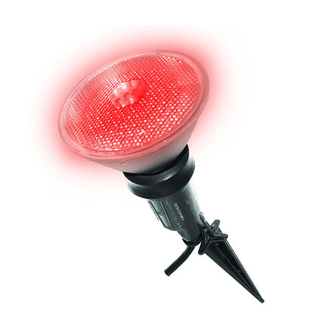 Color LED Flood Light