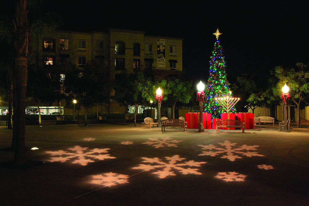 Menorah and Christmas Tree Displays