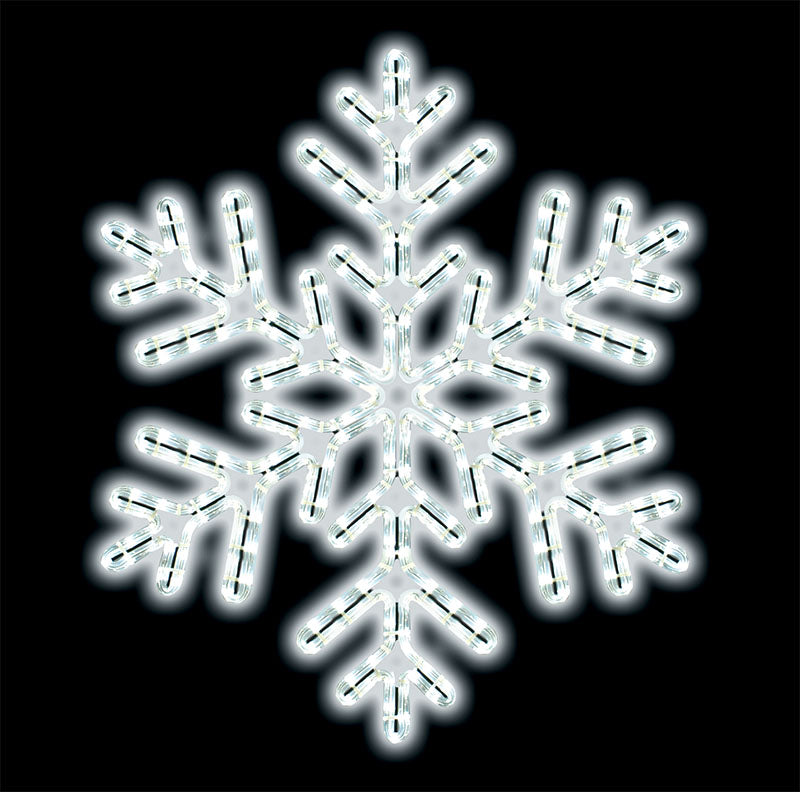 24" Cool White Outdoor Rope Light Snowflake