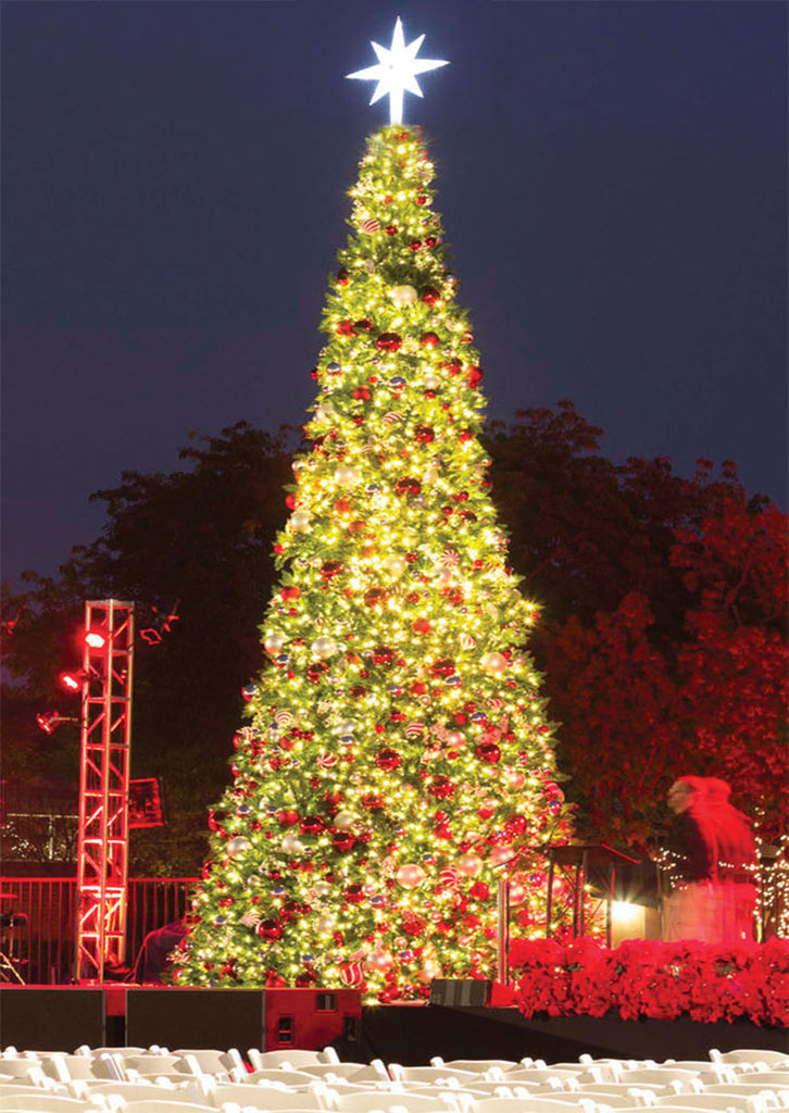 Outdoor Giant Christmas Tree