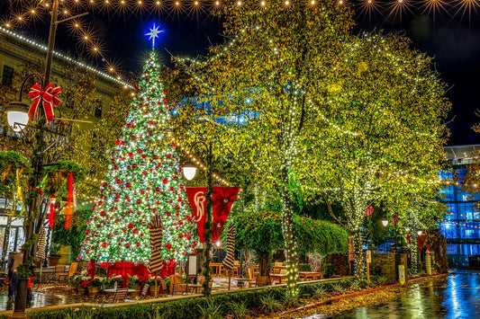 The Complete Guide to Planning Downtown Holiday Decor for Cities and Municipalities