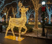 10' Giant Illuminated Prancing Reindeer display wrapped in LED mini lights