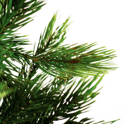 Calgary Pine Tree