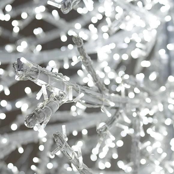 Crystal Branch Illuminated Trees