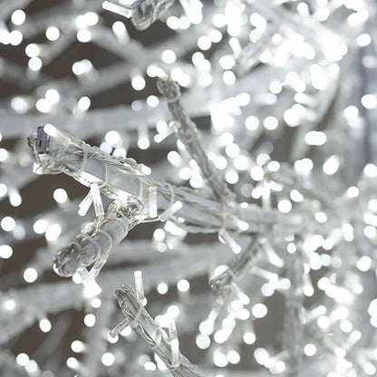 Crystal Branch Illuminated Trees