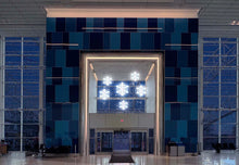 Snowflake Flurry Display