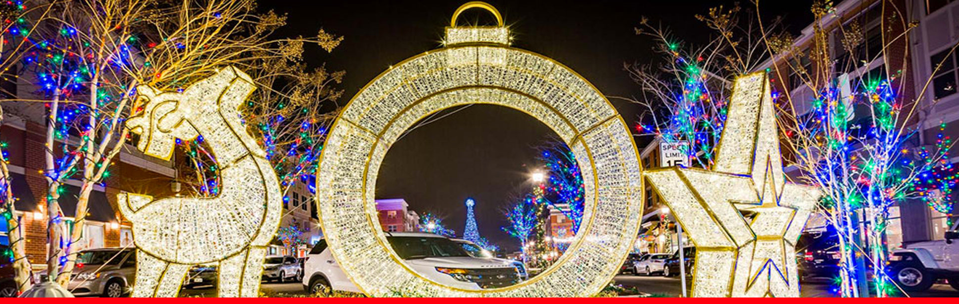 Storing Oversized Commercial Christmas decorations