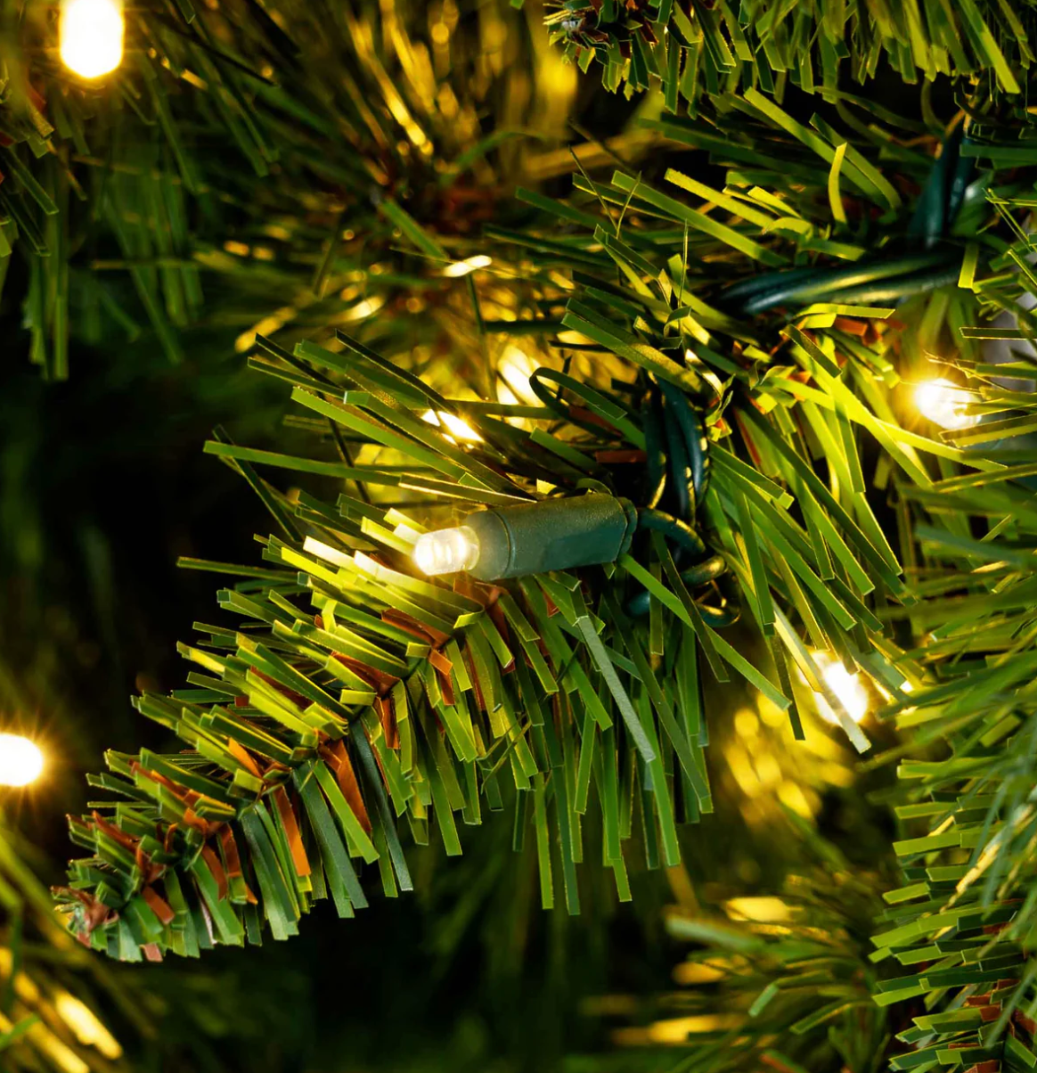 Large commercial Christmas tree low voltage close up of lights
