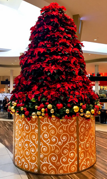 Manually Watered Poinsettia Tree