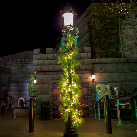 Torrey Pine Garland- 10' Length x 20"