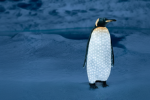 LED-illuminated acrylic commercial grade Mommy Penguin Christmas sculpture standing on a snowy blue base, ideal for outdoor holiday décor and whimsical winter wonderland displays.