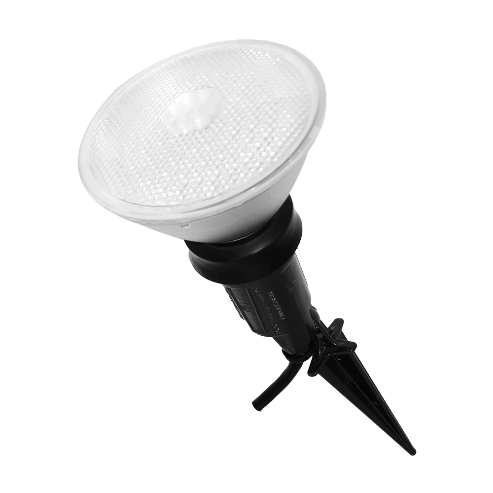 PAR38 LED Flood Light Bulbs