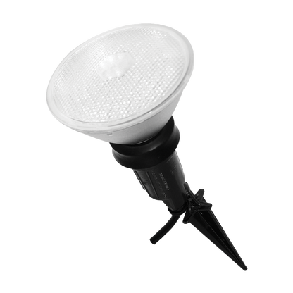 PAR38 LED Flood Light Bulbs