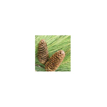 Bristle Pine Garland Pine Cones