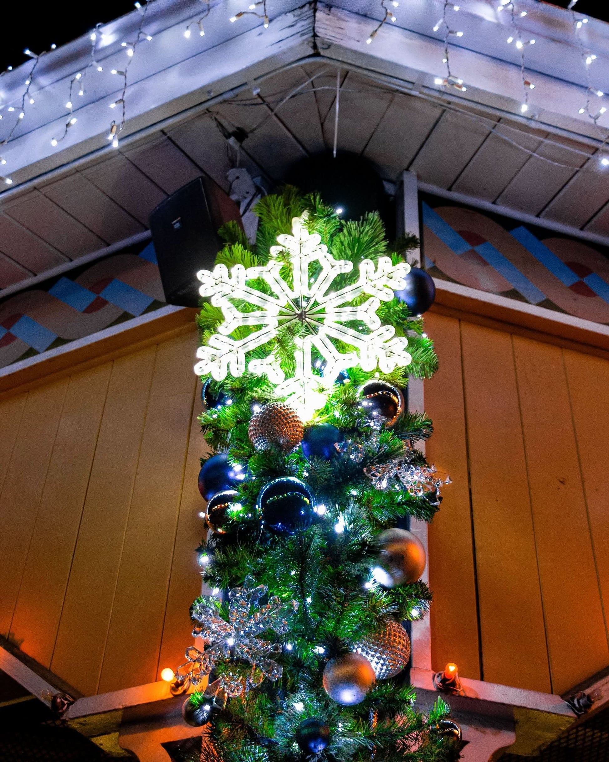 Aluminum-framed 18 in snowflake wrapped in cool white LED ropelight , 215 lights, 11W, for outdoor commercial displays