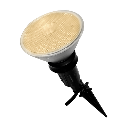 PAR38 LED Flood Light Bulbs