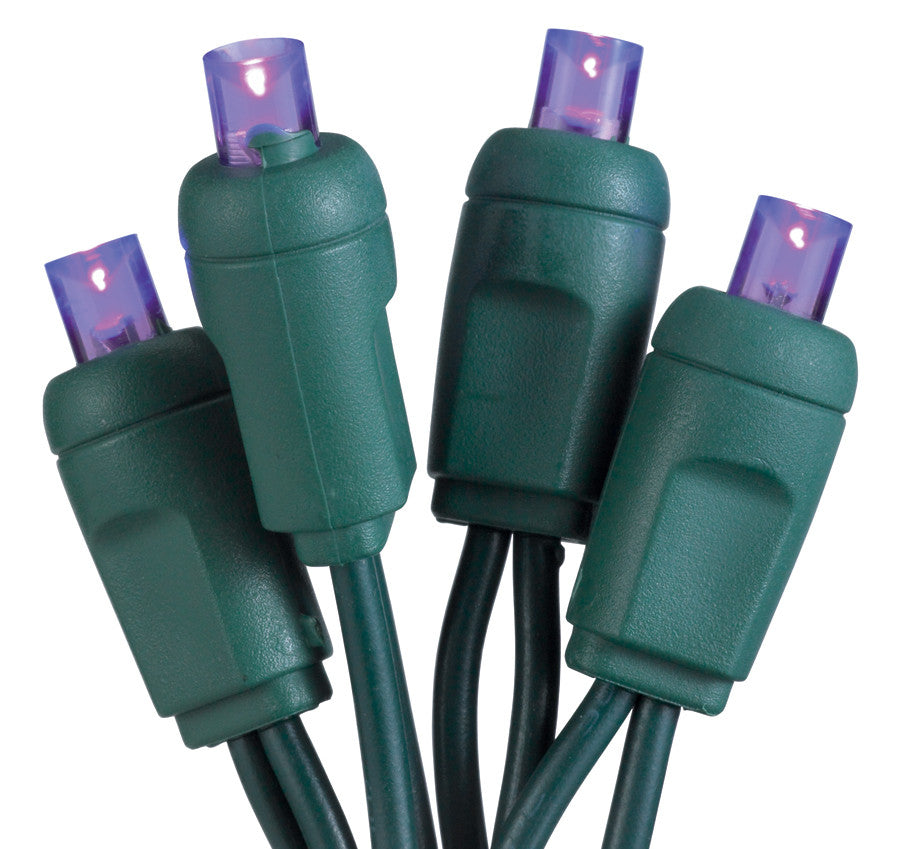 50-Light LED Purple Bulb/Green Wire. 6" Centers. Case Pack of 24 Sets