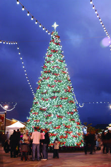 Giant Commercial Christmas Tree