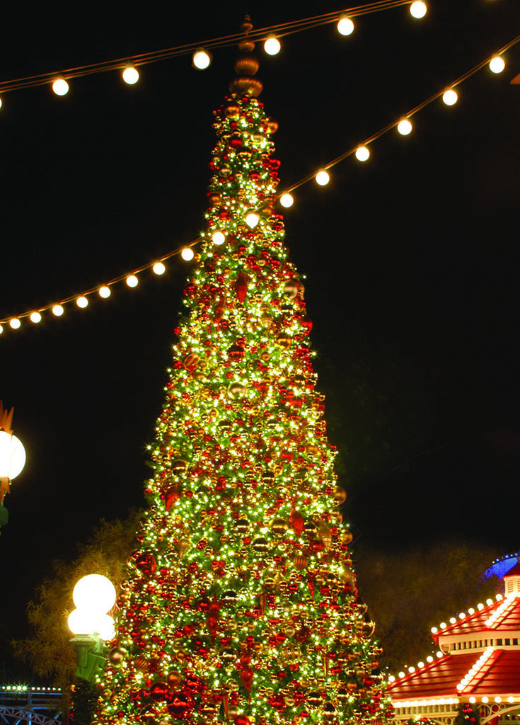 Giant Sequoia Tower Christmas Tree