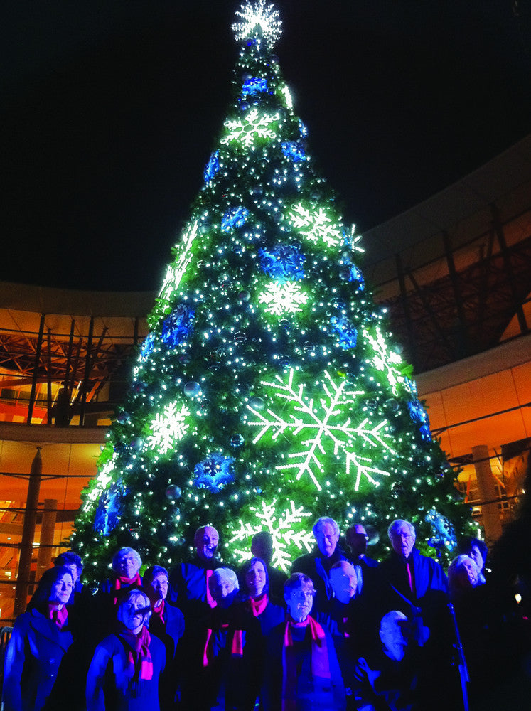 50' Sequoia Tree with LED Snowflakes