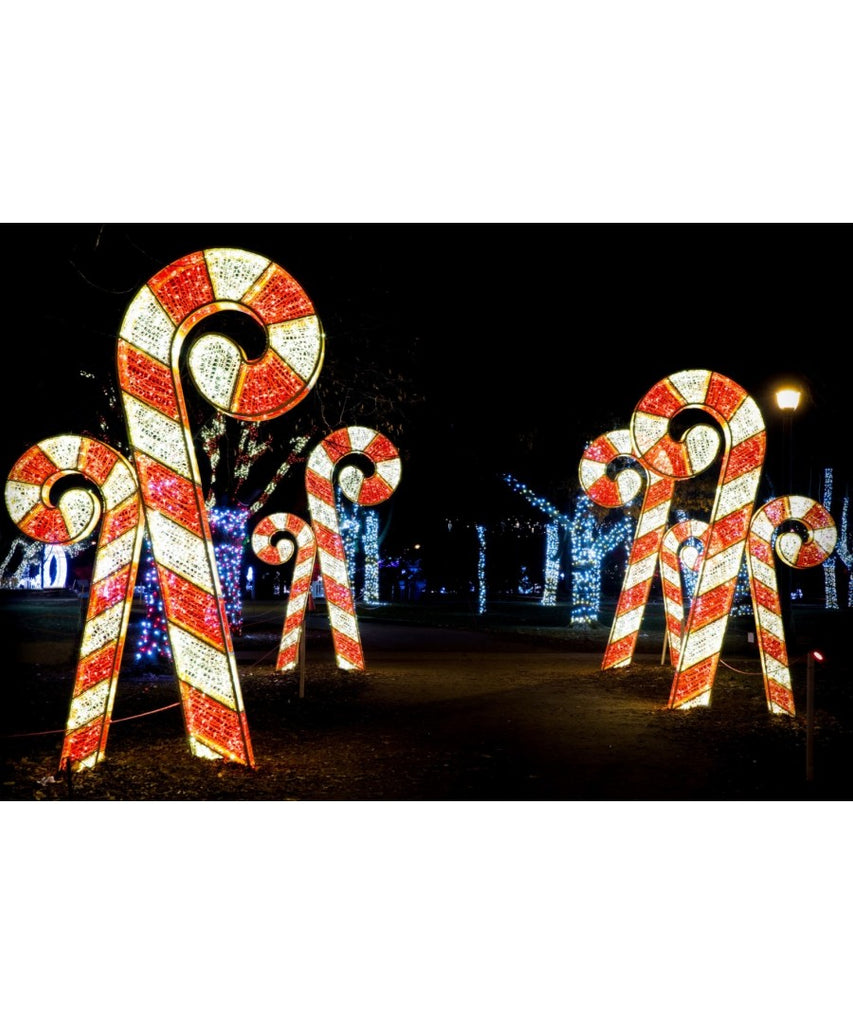 Pair of Illuminated Standing Candy Canes