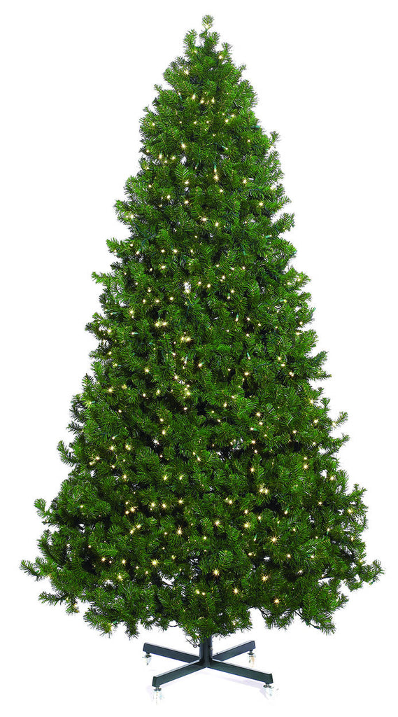 Commercial Mountain Pine Christmas Tree
