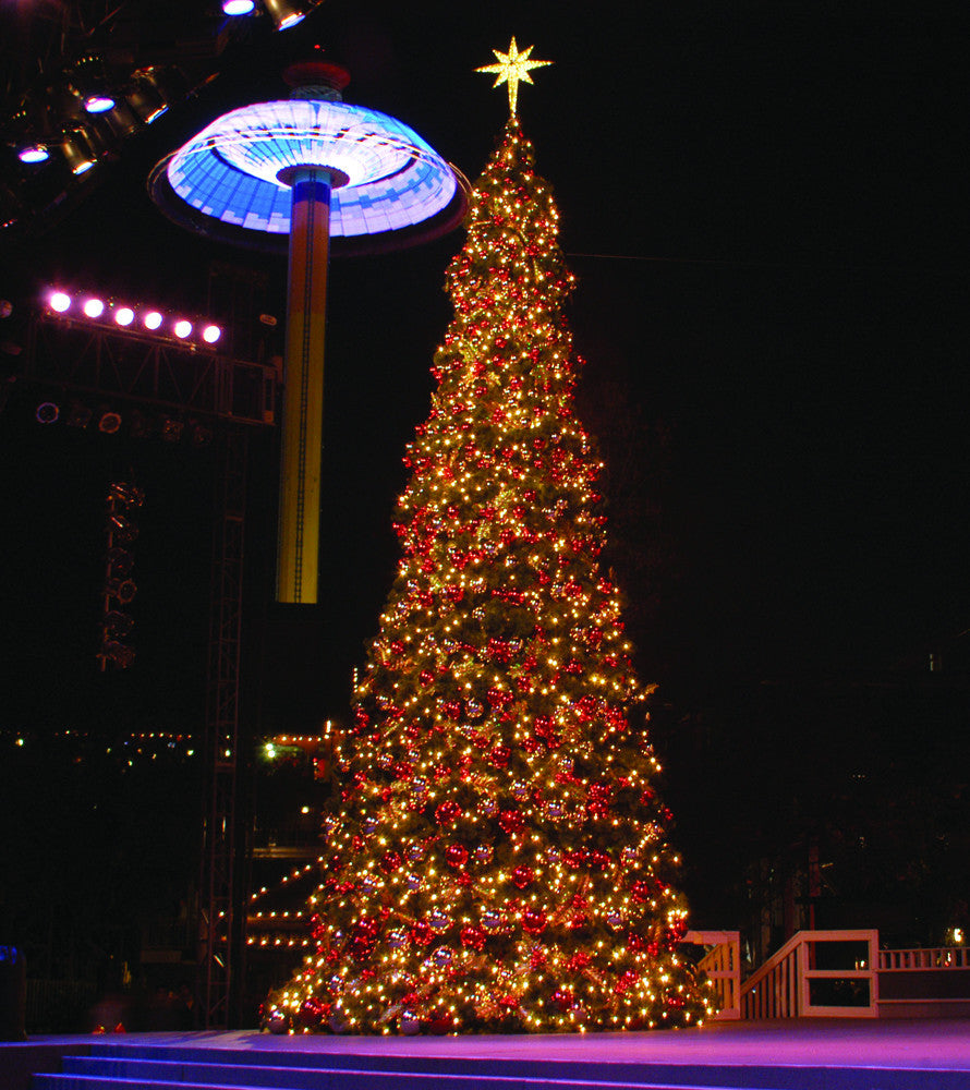 Gold Moravian Tree Topper on Giant Tower Tree