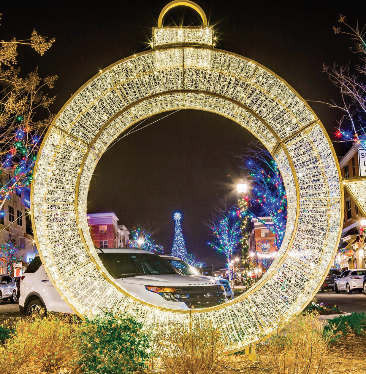 Outdoor Christmas Ornament Light Display Warm White