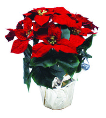 Silk Poinsettia Plant