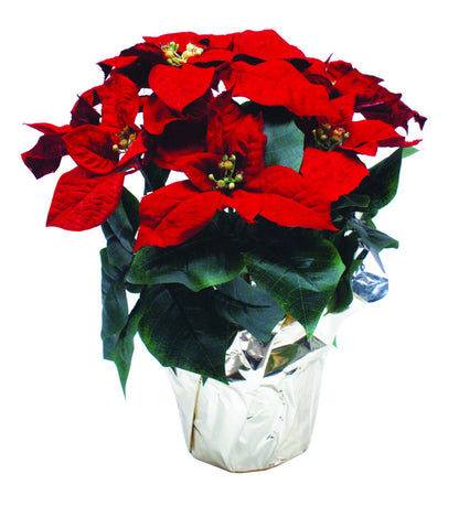 Silk Poinsettia plant (14-15" tall) in a 6" pot with about 8 flowers, suitable for office or room holiday decor