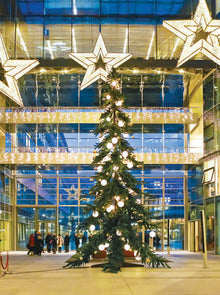 Sherwood Commercial Christmas Tree