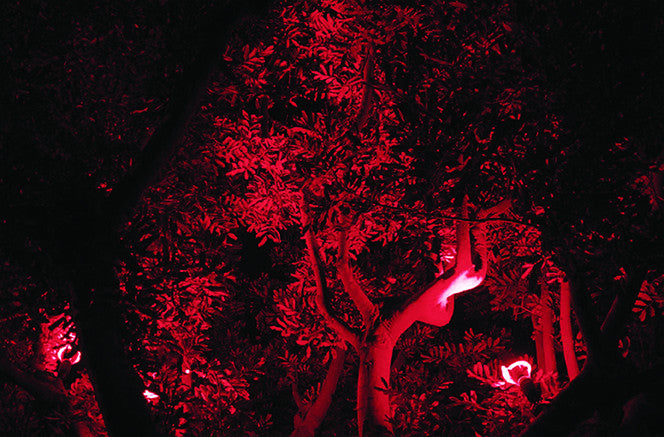 Red LED Flood Lighting