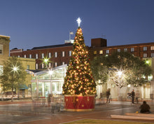 Giant Christmas Tree with Custom Drum Base