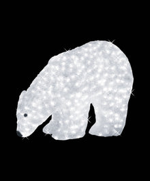 Illuminated Baby Polar Bear