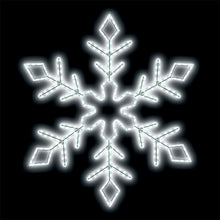LED Ropelight Snowflake 24" Branch