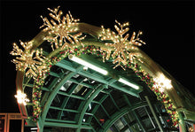 LED Deluxe Forked Snowflake Pole Mount
