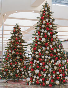 Decorated Noble Fir Christmas Tree