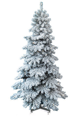 Spruce Snow Capped Tree
